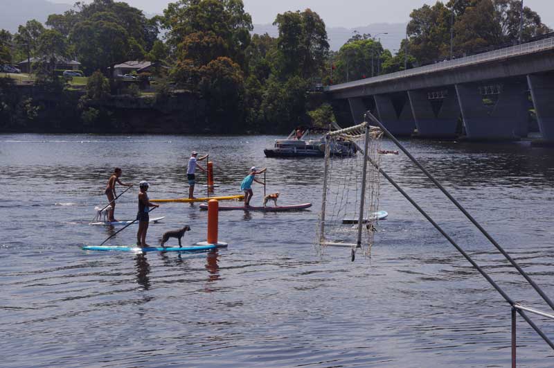 Shoalhaven River Festival – Doggy Dash Rundown.